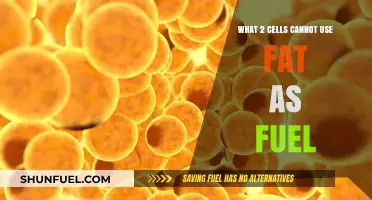 Why Certain Cells Can't Utilize Fat for Energy Production
