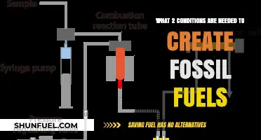 How Fossil Fuels Were Created: Two Essential Conditions