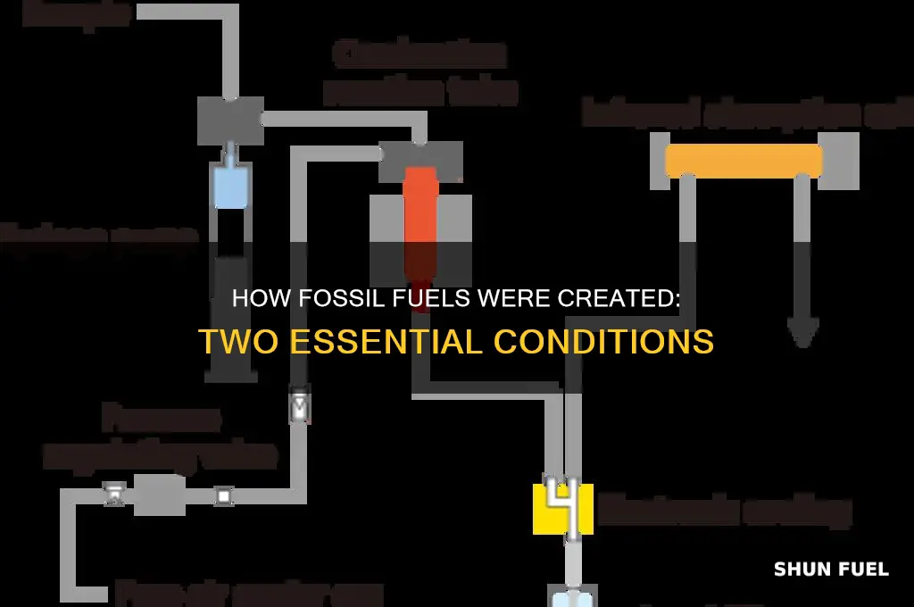 what 2 conditions are needed to create fossil fuels