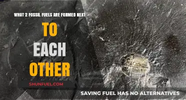 Origin of Fossil Fuels: Two Neighbors, One Story