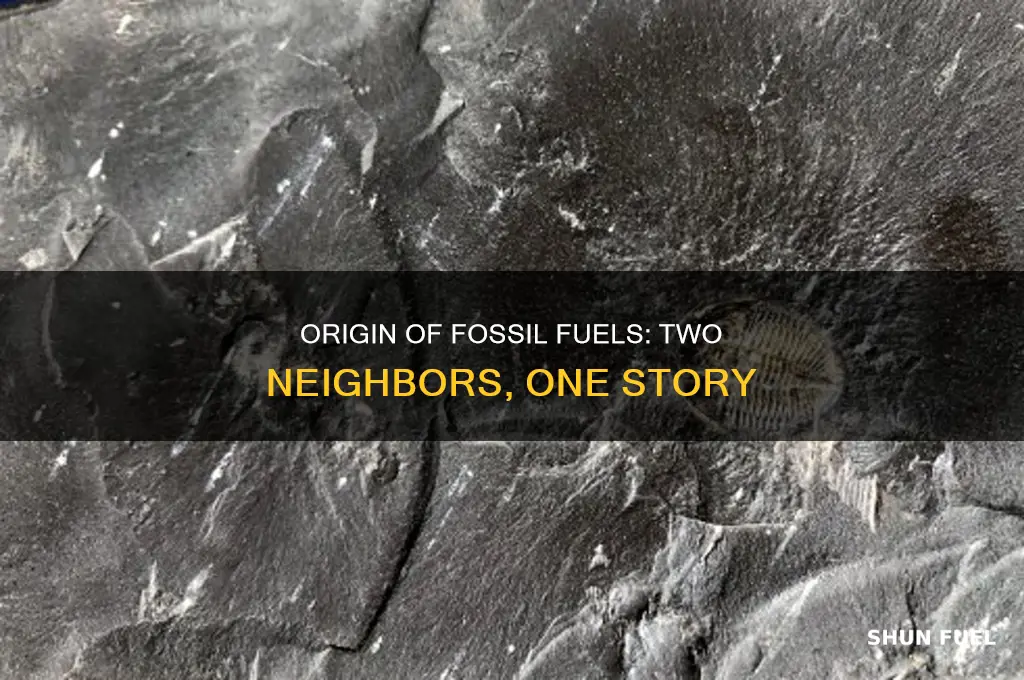 what 2 fossil fuels are formed next to each other