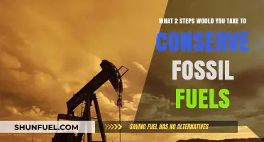 Conserving Fossil Fuels: Two Steps to a Sustainable Future