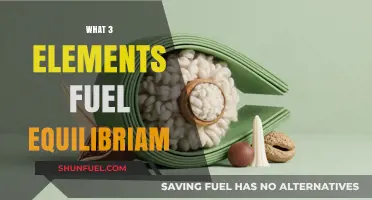 Three Key Elements That Sustain and Fuel Equilibrium Effectively