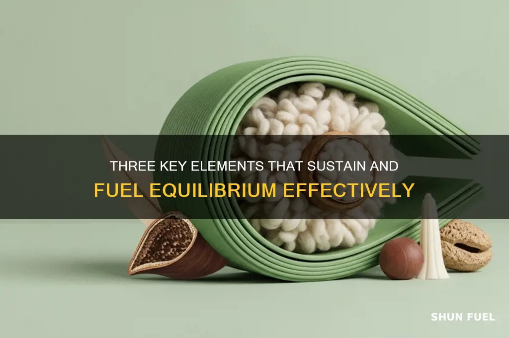 what 3 elements fuel equilibriam