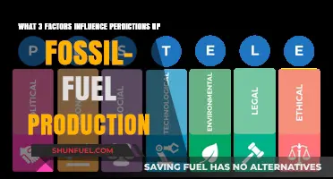 Fossil Fuel Predictions: Economy, Politics, and Technology