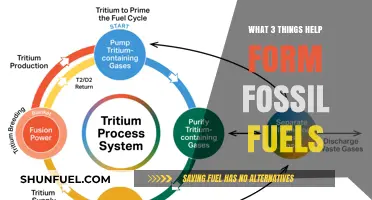 How Fossil Fuels Form: A 3-Part Guide