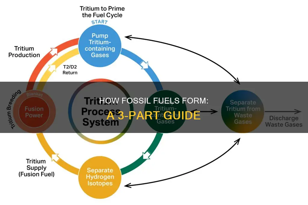 what 3 things help form fossil fuels