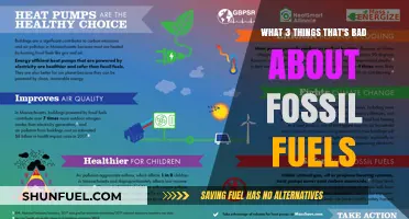 Fossil Fuels: Polluting, Finite, and Costly