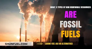 Fossil Fuels: Non-Renewable Resources in Three Forms