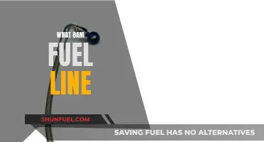 Morning Fuel Line: What's Cooking at 8 a.m.?