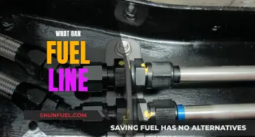 The Importance of Knowing Your 8AN Fuel Line