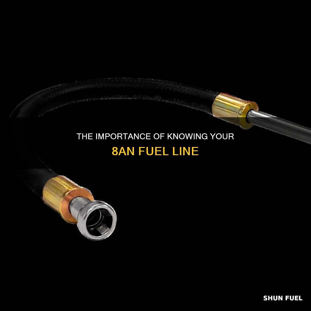 what 8an fuel line