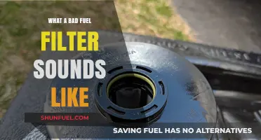 Fuel Filter Failure: Sounds and Symptoms