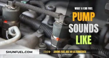 Fuel Pump Sounds: What You Need to Know