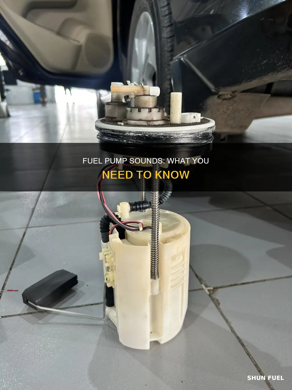 what a car fuel pump sounds like