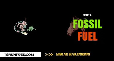 Fossil Fuels: Ancient Energy Sources