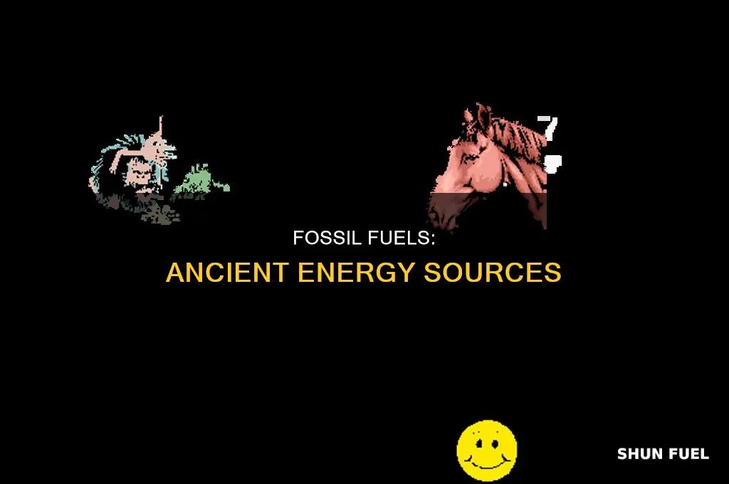 what a fossil fuel