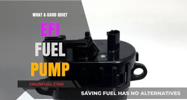 Choosing the Best Quiet EFI Fuel Pump for Optimal Performance