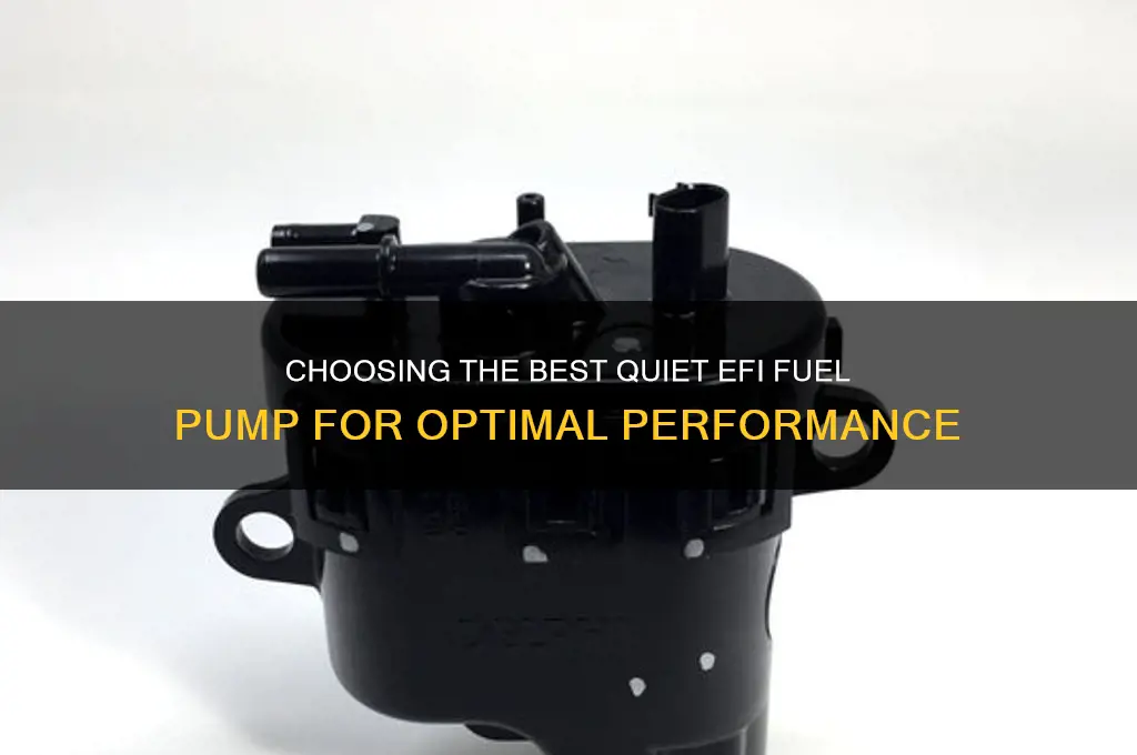 what a good quiet efi fuel pump