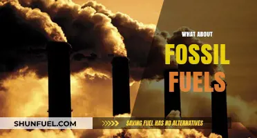 Fossil Fuels: A Necessary Evil?
