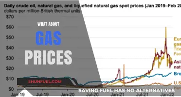 Skyrocketing Gas Prices: Causes, Impacts, and Solutions for Consumers
