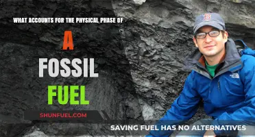 The Physical Nature of Fossil Fuels Explained