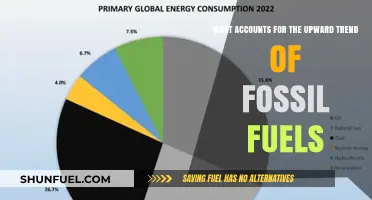 Fossil Fuels: Demand, Geopolitics, and Market Dynamics