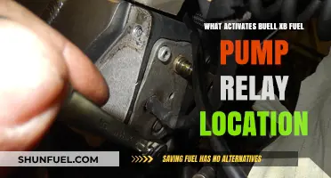 Buell XB Fuel Pump Relay Location and Activation Guide