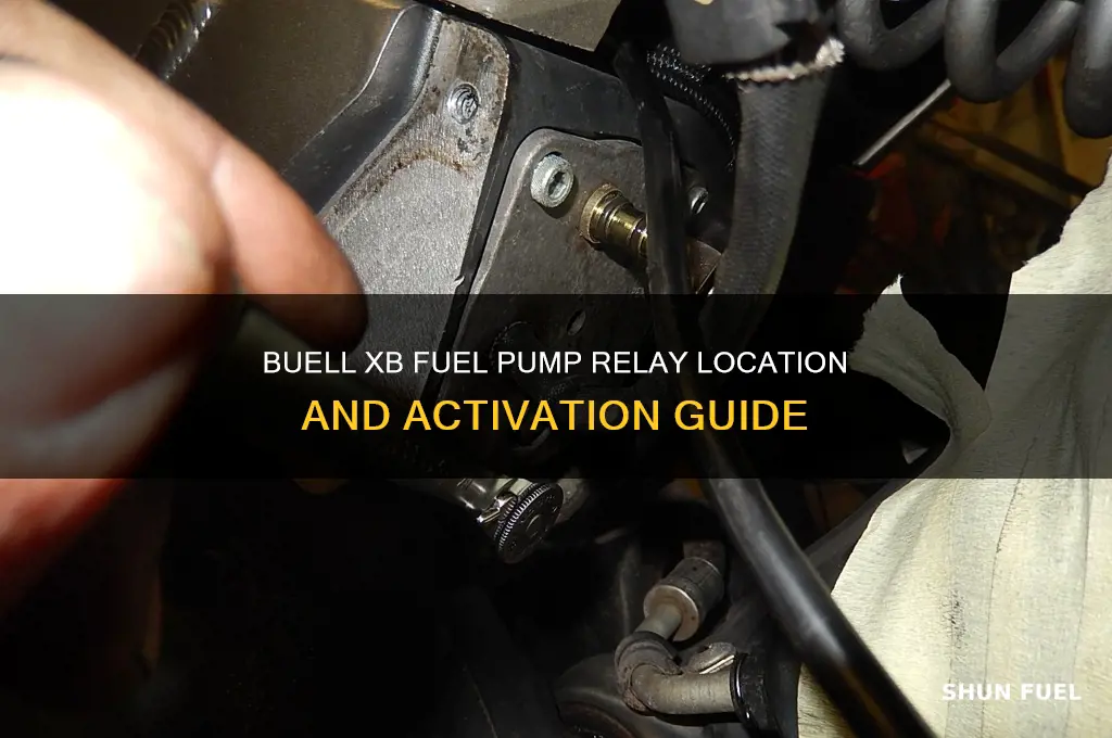what activates buell xb fuel pump relay location
