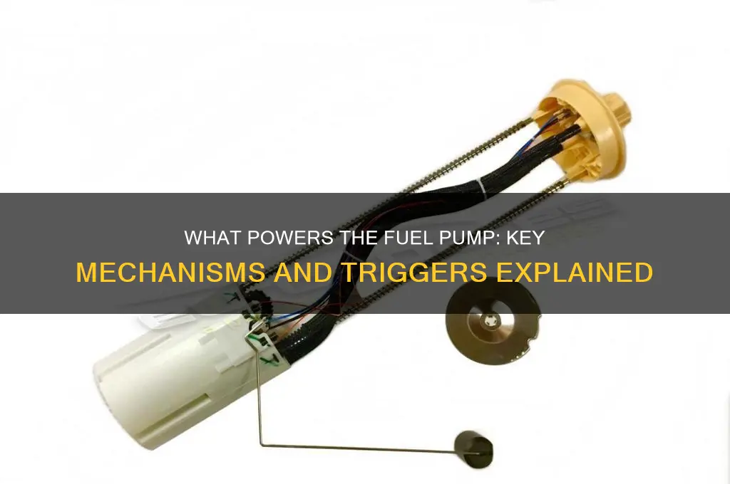 what actuates the fuel pump