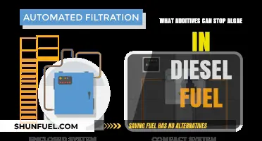 Preventing Algae Growth in Diesel: Effective Additive Solutions