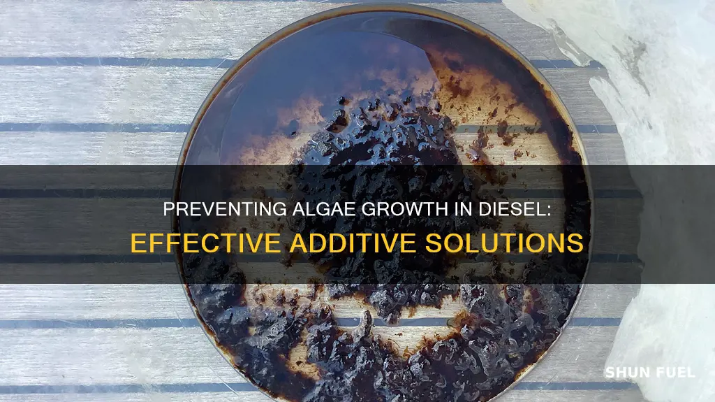 what additives can stop algae in diesel fuel