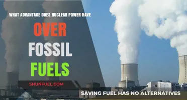 Nuclear Power: A Cleaner, More Efficient Energy Source