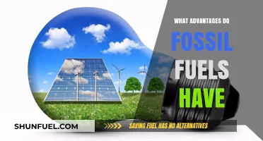 Fossil Fuels: Powering Our World, Pros and Cons