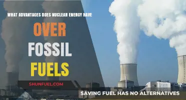 Nuclear Energy: A Cleaner, More Efficient Power Source