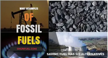 The Evolution of Fossil Fuels: Examples and Insights