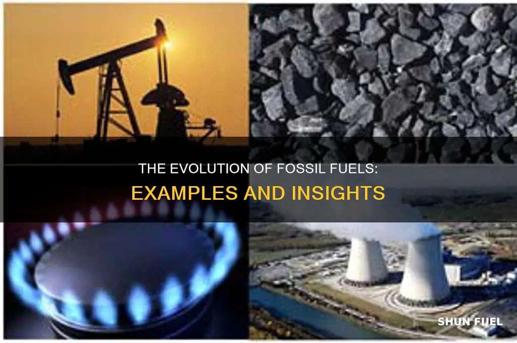 what aexamples of fossil fuels