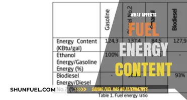 Factors Influencing Fuel Energy Content: Key Determinants Explained