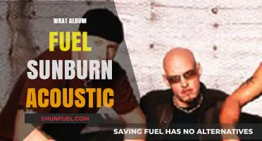 Fuel's Sunburn Acoustic Album: A Stripped-Down Rock Revival