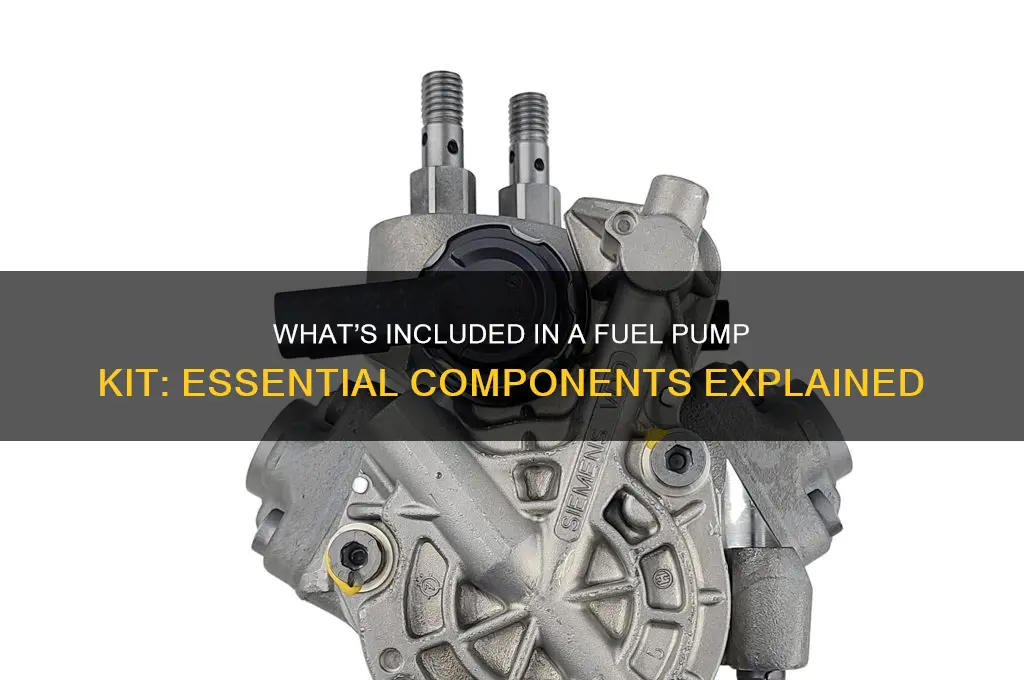 what all comes with a fuel pump
