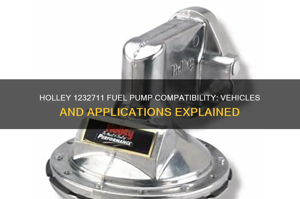 what all does a holley 1232711 fuel pump fit