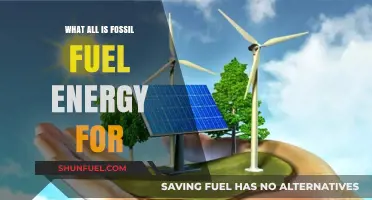 Fossil Fuel Energy: Powering Our World