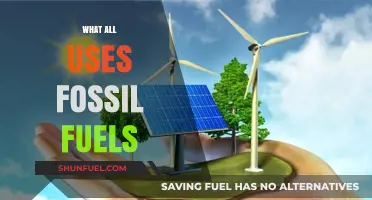 Fossil Fuels: Powering Our Everyday Lives