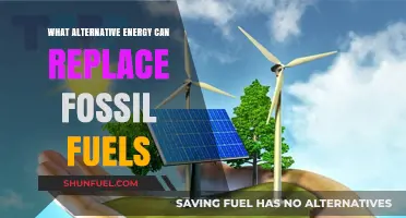 The Future of Energy: Alternatives to Fossil Fuels