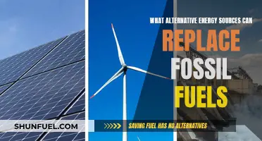 The Future of Energy: Alternatives to Fossil Fuels