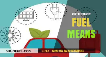 Exploring Alternative Fuels: Sustainable Energy Options for a Greener Future