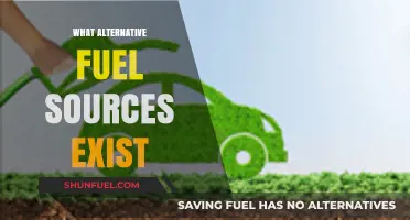 Exploring Sustainable Energy: Alternative Fuel Sources for a Greener Future