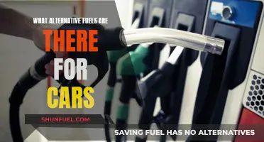 The Future of Cars: Exploring Alternative Fuel Sources