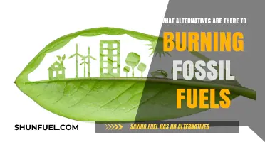 Green Energy Alternatives: Life Beyond Fossil Fuels