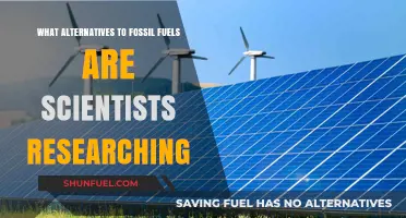 Exploring Sustainable Energy: Alternatives to Fossil Fuels
